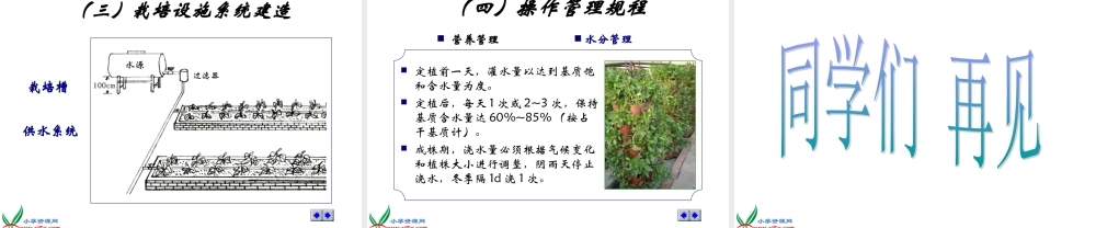 首师大小学科学六下《14.无土栽培》PPT课件【加微信公众号 jiaoxuewuyou 九折优惠qq 1119139686】.ppt