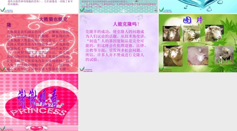 首师大小学科学六下《16.克隆技术》PPT课件(1)【加微信公众号 jiaoxuewuyou 九折优惠qq 1119139686】.ppt