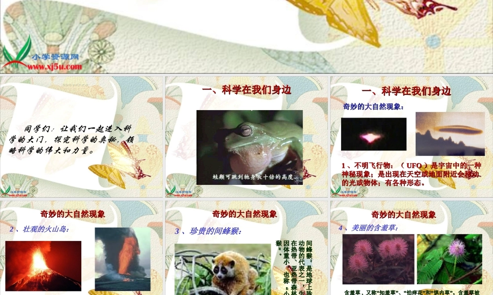 首师大小学科学三上《1.科学在我们身边》PPT课件(4)【加微信公众号 jiaoxuewuyou 九折优惠qq 1119139686】.ppt