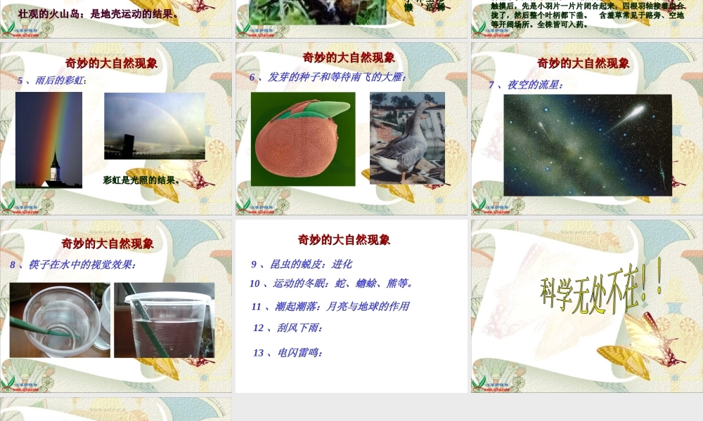 首师大小学科学三上《1.科学在我们身边》PPT课件(4)【加微信公众号 jiaoxuewuyou 九折优惠qq 1119139686】.ppt