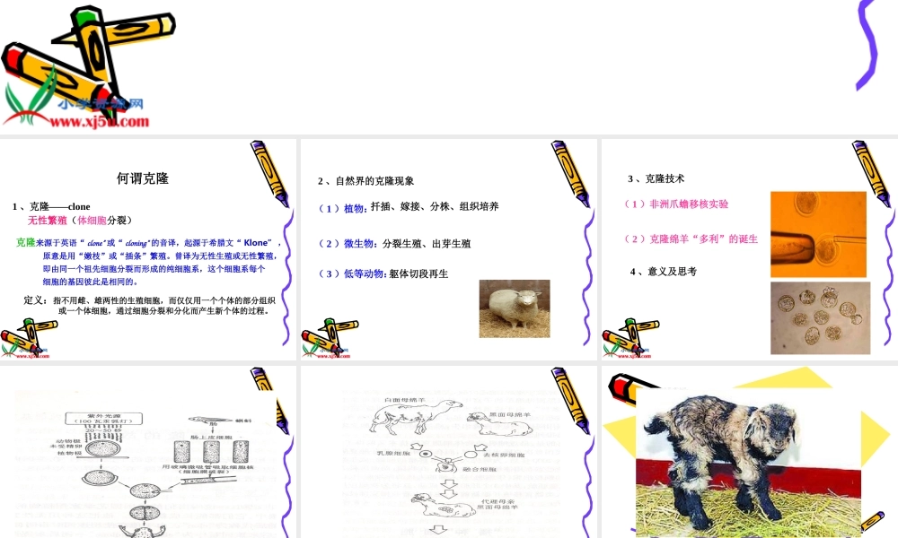 首师大小学科学六下《16.克隆技术》PPT课件(2)【加微信公众号 jiaoxuewuyou 九折优惠qq 1119139686】.ppt