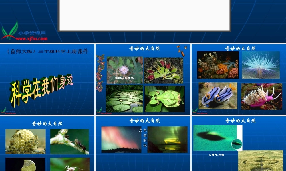 首师大小学科学三上《1.科学在我们身边》PPT课件(5)【加微信公众号 jiaoxuewuyou 九折优惠qq 1119139686】.ppt