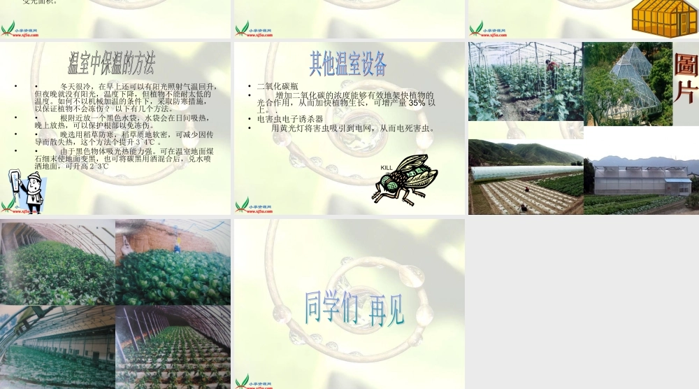 首师大小学科学六下《15.温室技术》PPT课件(2)【加微信公众号 jiaoxuewuyou 九折优惠qq 1119139686】.ppt