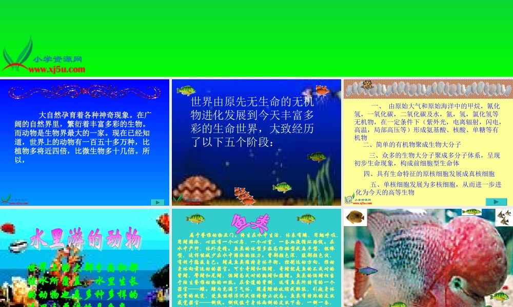 首师大小学科学三上《5.动物世界》PPT课件【加微信公众号 jiaoxuewuyou 九折优惠qq 1119139686】.ppt