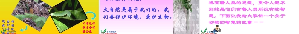 首师大小学科学三上《5.动物世界》PPT课件【加微信公众号 jiaoxuewuyou 九折优惠qq 1119139686】.ppt