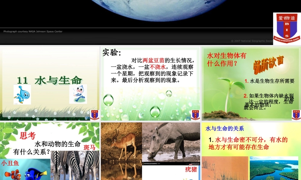 首师大小学科学三上《11.水和生命》PPT课件【加微信公众号 jiaoxuewuyou 九折优惠qq 1119139686】.ppt