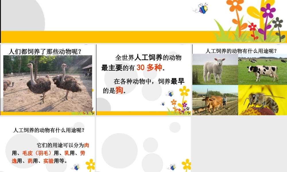 首师大小学科学三上《6.饲养的动物》PPT课件【加微信公众号 jiaoxuewuyou 九折优惠qq 1119139686】.ppt