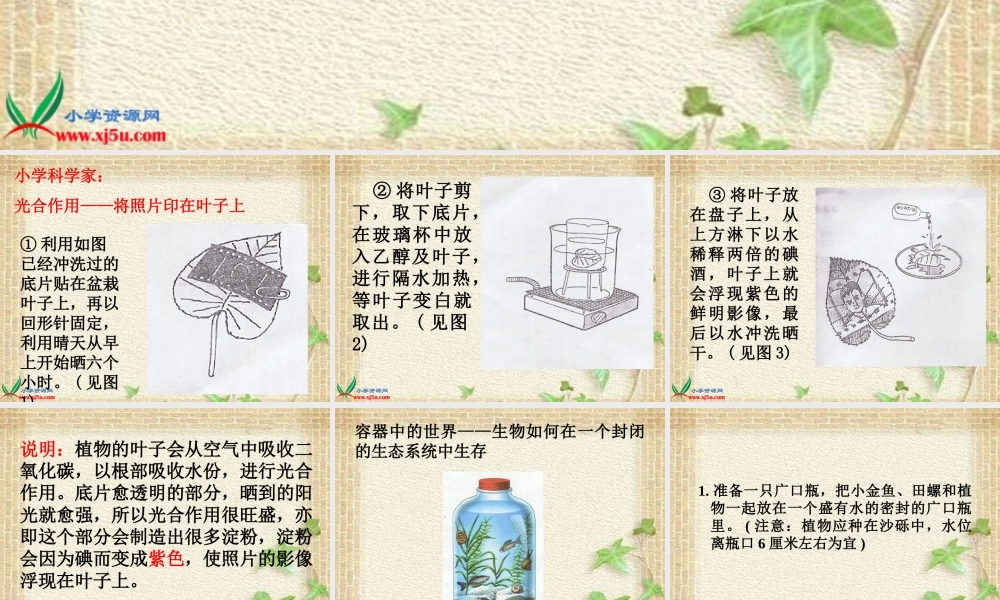 首师大小学科学三上《15.空气和生命》PPT课件【加微信公众号 jiaoxuewuyou 九折优惠qq 1119139686】.ppt