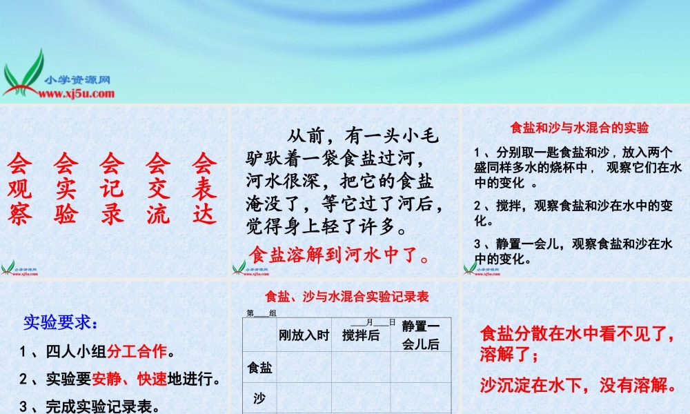 首师大小学科学三下《1.水能溶解一些物质》PPT课件(2)【加微信公众号 jiaoxuewuyou 九折优惠qq 1119139686】.ppt
