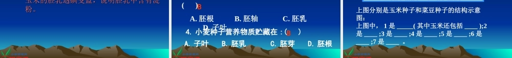 首师大小学科学三下《13.种子的构造》PPT课件(4)【加微信公众号 jiaoxuewuyou 九折优惠qq 1119139686】.ppt