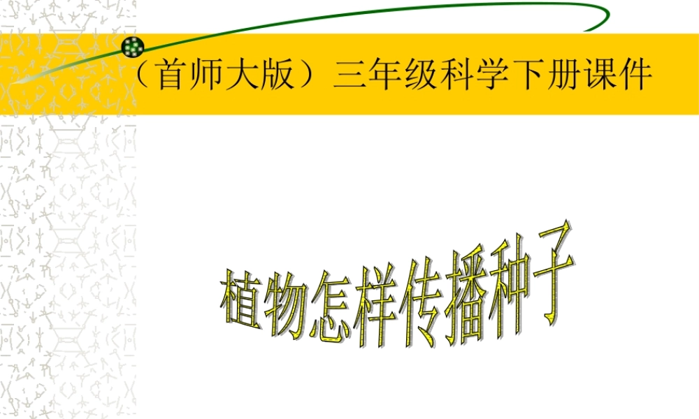 首师大小学科学三下《12.植物怎样传播种子》PPT课件(2)【加微信公众号 jiaoxuewuyou 九折优惠qq 1119139686】.ppt