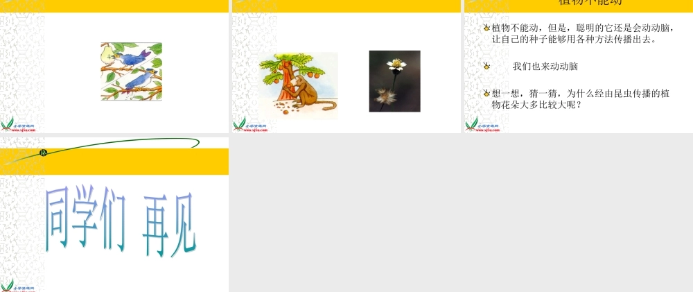 首师大小学科学三下《12.植物怎样传播种子》PPT课件(2)【加微信公众号 jiaoxuewuyou 九折优惠qq 1119139686】.ppt