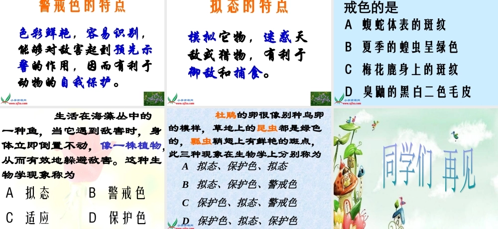 首师大小学科学三下《10.动物怎样保护自己》PPT课件(1)【加微信公众号 jiaoxuewuyou 九折优惠qq 1119139686】.ppt