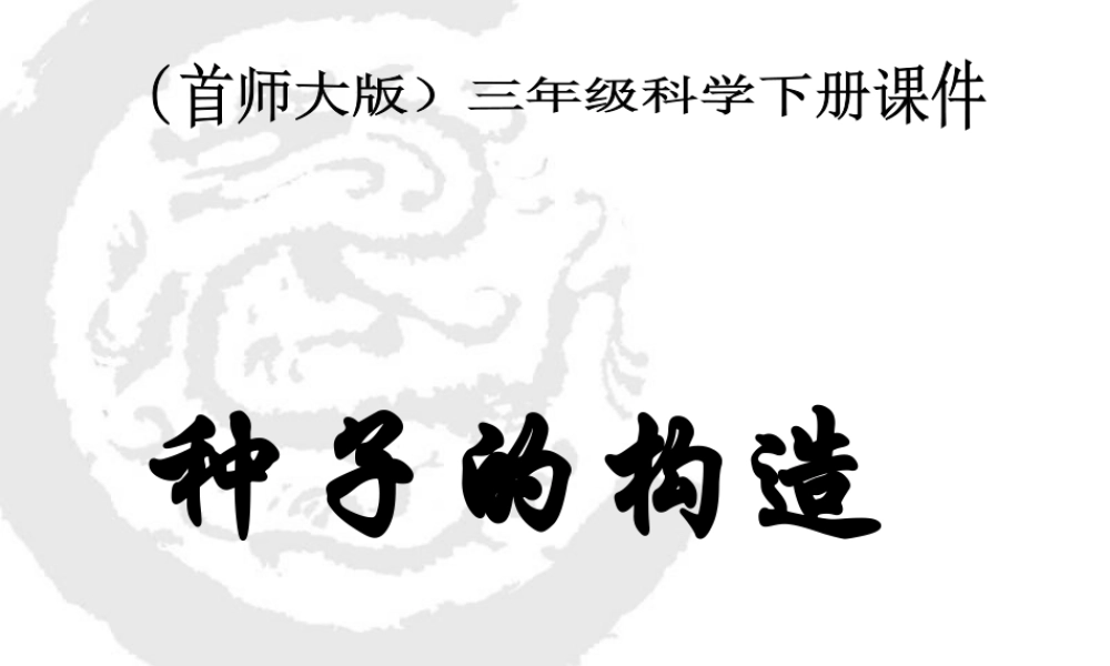首师大小学科学三下《13.种子的构造》PPT课件(2)【加微信公众号 jiaoxuewuyou 九折优惠qq 1119139686】.ppt