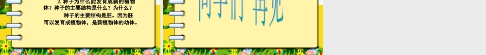 首师大小学科学三下《13.种子的构造》PPT课件(5)【加微信公众号 jiaoxuewuyou 九折优惠qq 1119139686】.ppt