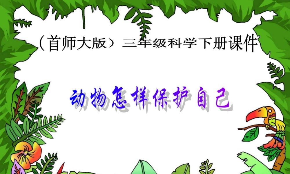 首师大小学科学三下《10.动物怎样保护自己》PPT课件(2)【加微信公众号 jiaoxuewuyou 九折优惠qq 1119139686】.ppt
