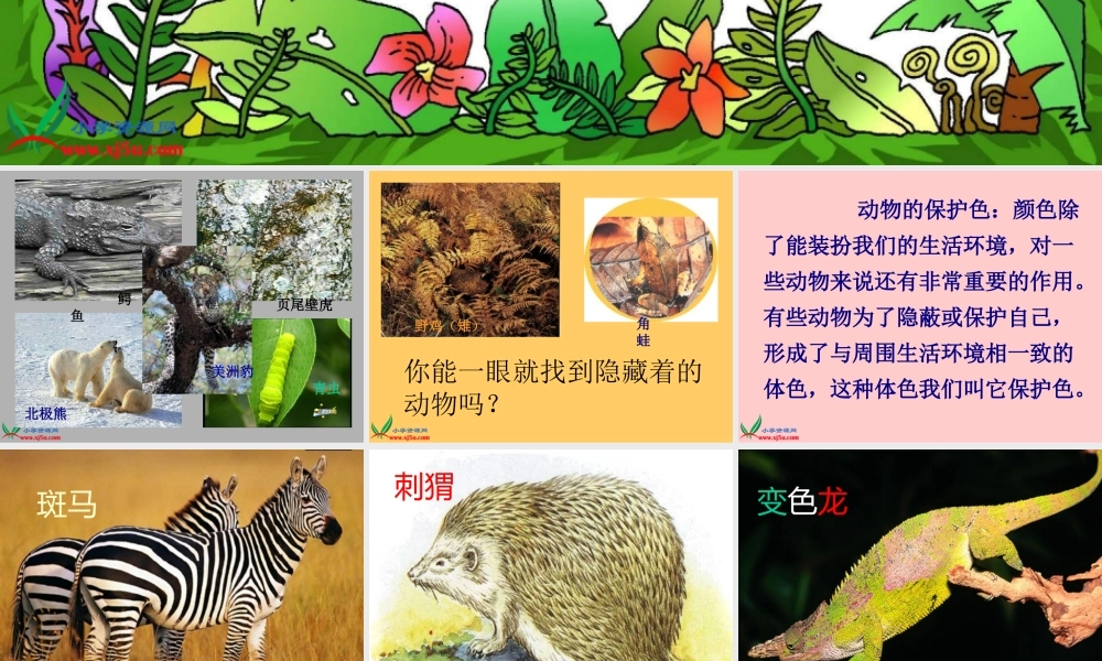 首师大小学科学三下《10.动物怎样保护自己》PPT课件(2)【加微信公众号 jiaoxuewuyou 九折优惠qq 1119139686】.ppt