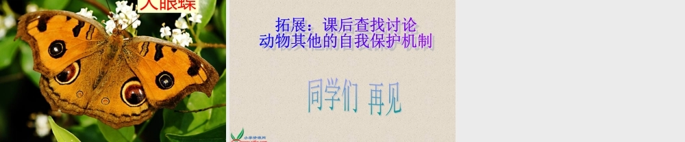 首师大小学科学三下《10.动物怎样保护自己》PPT课件(2)【加微信公众号 jiaoxuewuyou 九折优惠qq 1119139686】.ppt