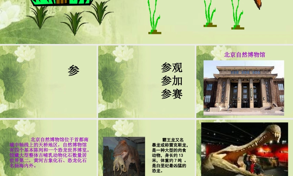 首师大小学科学三下《19.北京自然博物馆》PPT课件【加微信公众号 jiaoxuewuyou 九折优惠qq 1119139686】.ppt