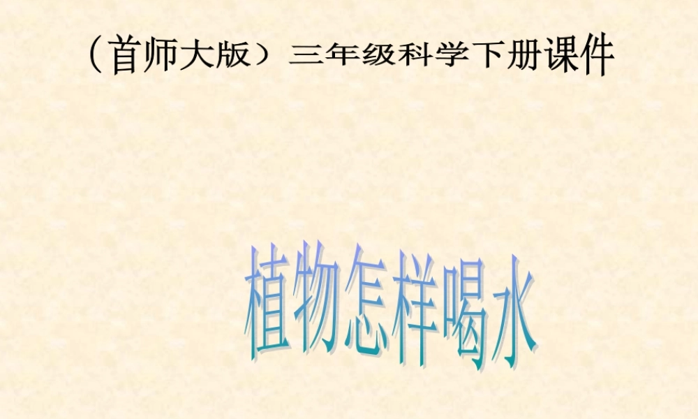 首师大小学科学三下《15.植物怎样喝水》PPT课件【加微信公众号 jiaoxuewuyou 九折优惠qq 1119139686】.ppt