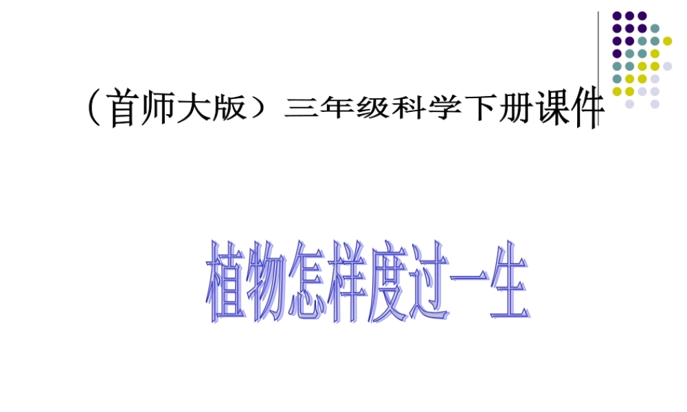 首师大小学科学三下《14.植物怎样度过一生》PPT课件(2)【加微信公众号 jiaoxuewuyou 九折优惠qq 1119139686】.ppt