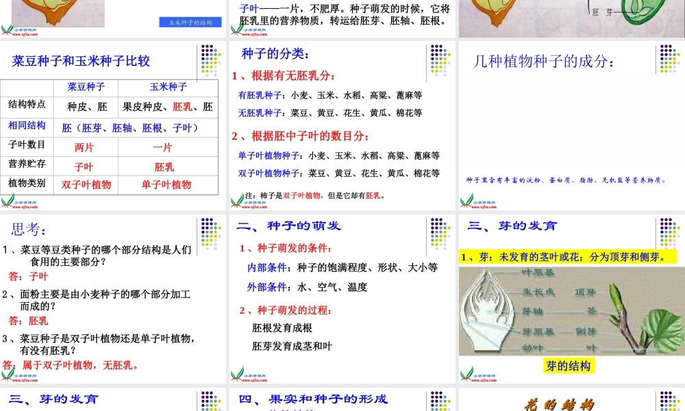 首师大小学科学三下《14.植物怎样度过一生》PPT课件(2)【加微信公众号 jiaoxuewuyou 九折优惠qq 1119139686】.ppt