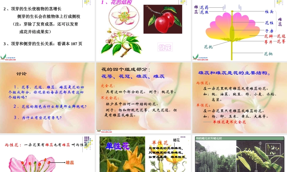 首师大小学科学三下《14.植物怎样度过一生》PPT课件(2)【加微信公众号 jiaoxuewuyou 九折优惠qq 1119139686】.ppt
