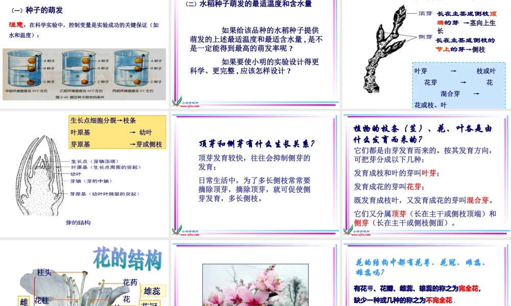 首师大小学科学三下《14.植物怎样度过一生》PPT课件(3)【加微信公众号 jiaoxuewuyou 九折优惠qq 1119139686】.ppt