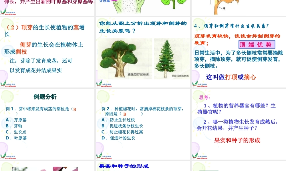 首师大小学科学三下《14.植物怎样度过一生》PPT课件(1)【加微信公众号 jiaoxuewuyou 九折优惠qq 1119139686】.ppt