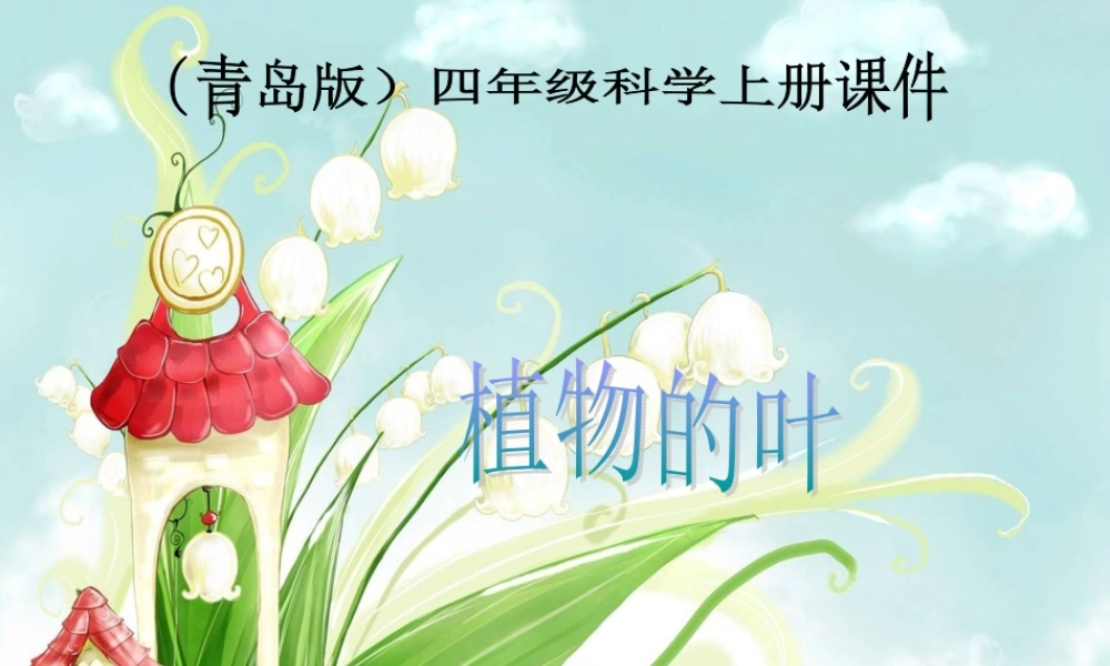 首师大小学科学四上《5.各种各样的叶》PPT课件【加微信公众号 jiaoxuewuyou 九折优惠qq 1119139686】.ppt