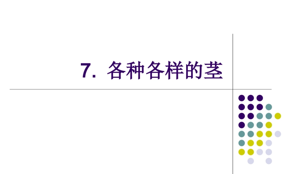 首师大小学科学四上《7.各种各样的茎》PPT课件【加微信公众号 jiaoxuewuyou 九折优惠qq 1119139686】.ppt