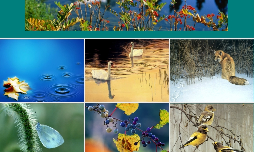 首师大小学科学四下《8.爱护地球家园》PPT课件【加微信公众号 jiaoxuewuyou 九折优惠qq 1119139686】.ppt