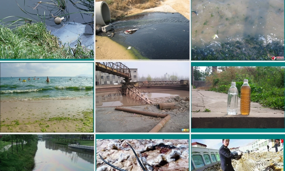 首师大小学科学四下《8.爱护地球家园》PPT课件【加微信公众号 jiaoxuewuyou 九折优惠qq 1119139686】.ppt