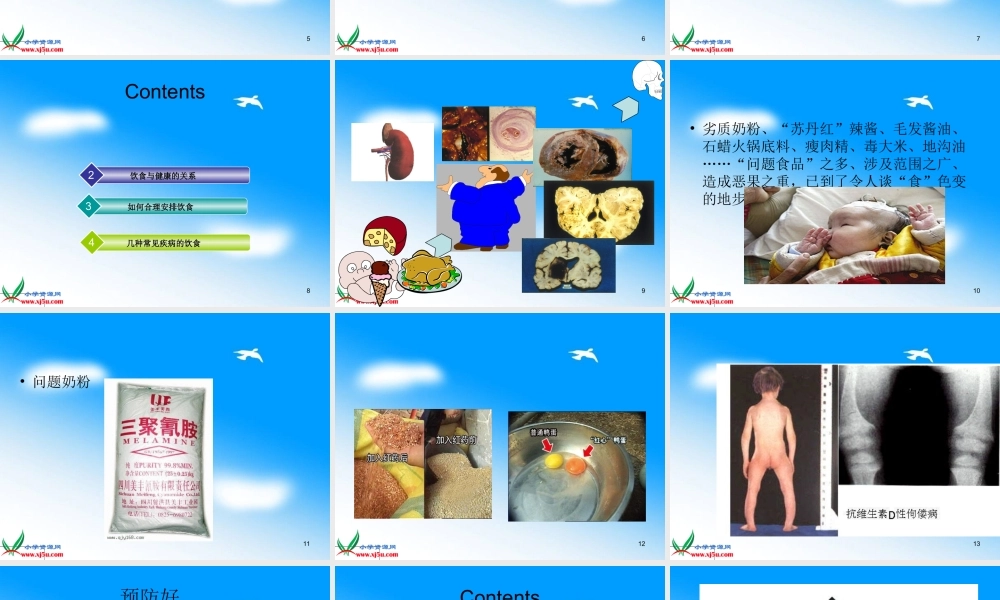 首师大小学科学四下《13.饮食与健康》PPT课件(2)【加微信公众号 jiaoxuewuyou 九折优惠qq 1119139686】.ppt