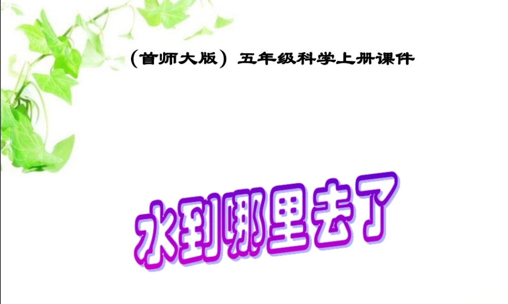 首师大小学科学五上《1.水到哪里去了》PPT课件(3)【加微信公众号 jiaoxuewuyou 九折优惠qq 1119139686】.ppt