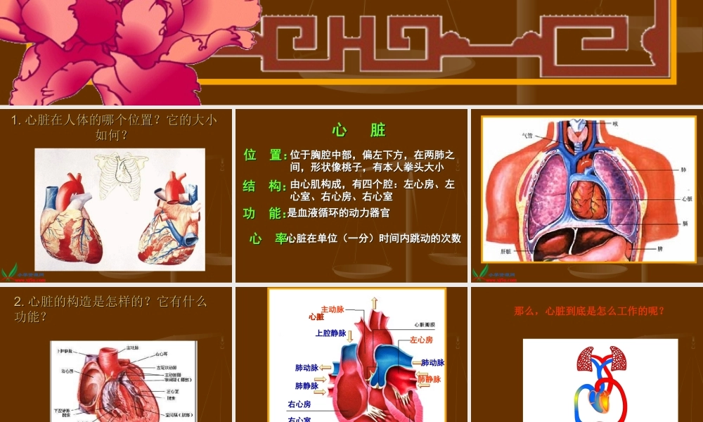 首师大小学科学四下《16.心脏的保健》PPT课件(2)【加微信公众号 jiaoxuewuyou 九折优惠qq 1119139686】.ppt