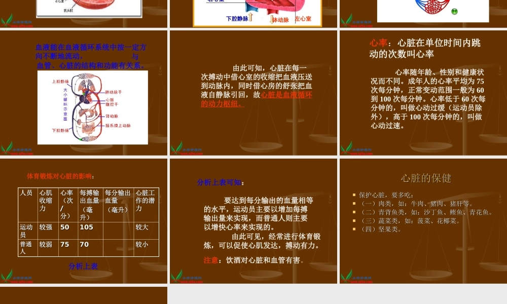 首师大小学科学四下《16.心脏的保健》PPT课件(2)【加微信公众号 jiaoxuewuyou 九折优惠qq 1119139686】.ppt