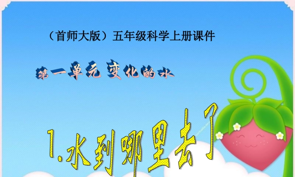 首师大小学科学五上《1.水到哪里去了》PPT课件(2)【加微信公众号 jiaoxuewuyou 九折优惠qq 1119139686】.ppt