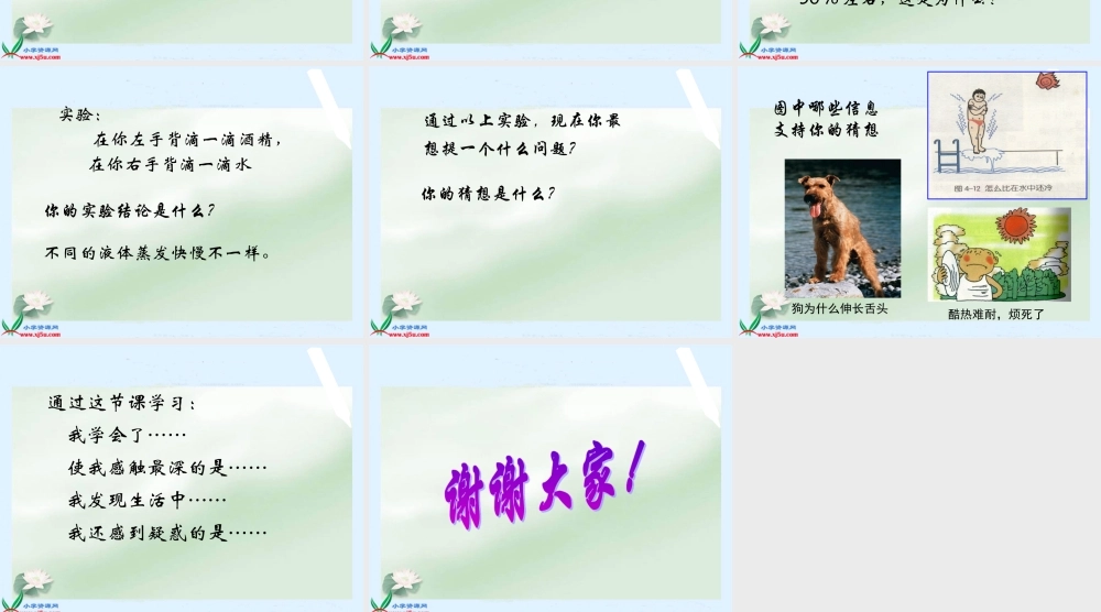 首师大小学科学五上《1.水到哪里去了》PPT课件(2)【加微信公众号 jiaoxuewuyou 九折优惠qq 1119139686】.ppt