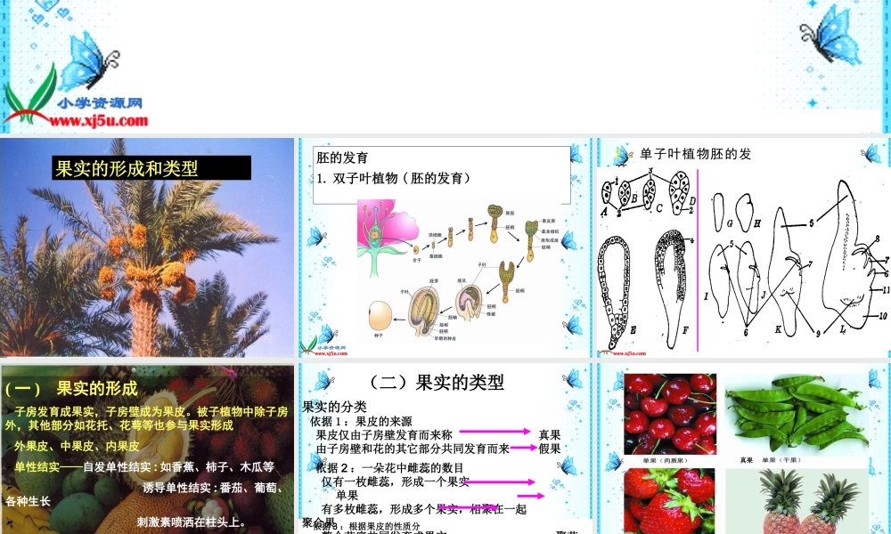 首师大小学科学四下《12.果实的形成》PPT课件【加微信公众号 jiaoxuewuyou 九折优惠qq 1119139686】.ppt