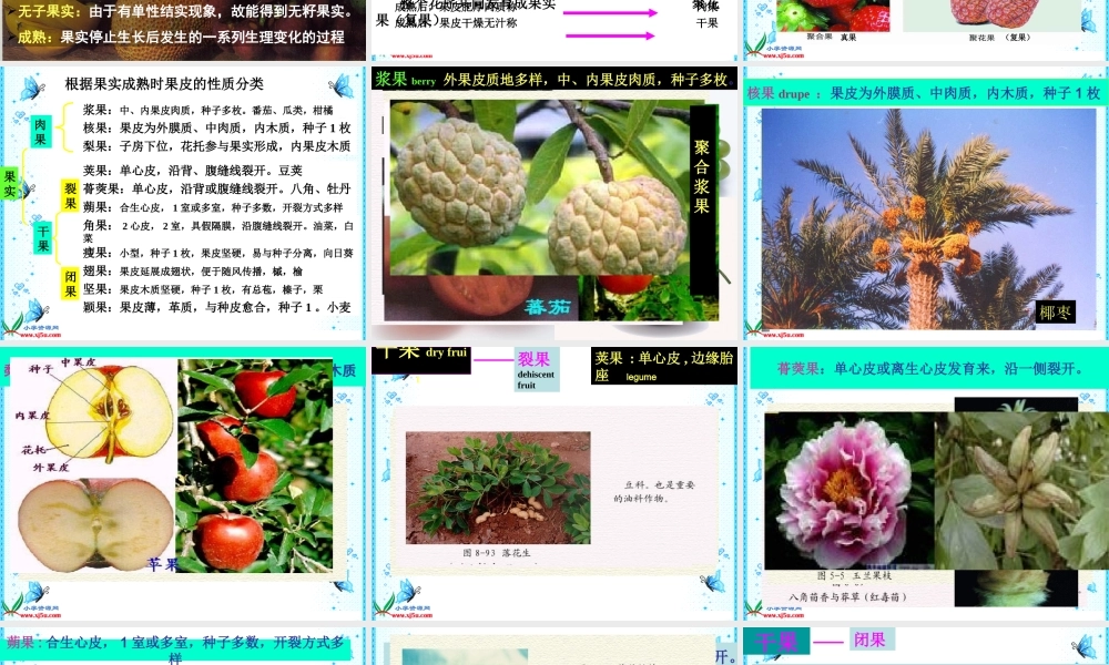 首师大小学科学四下《12.果实的形成》PPT课件【加微信公众号 jiaoxuewuyou 九折优惠qq 1119139686】.ppt