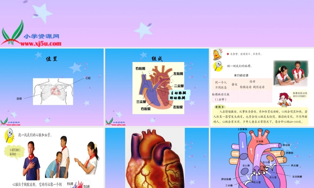 首师大小学科学四下《16.心脏的保健》PPT课件(1)【加微信公众号 jiaoxuewuyou 九折优惠qq 1119139686】.ppt