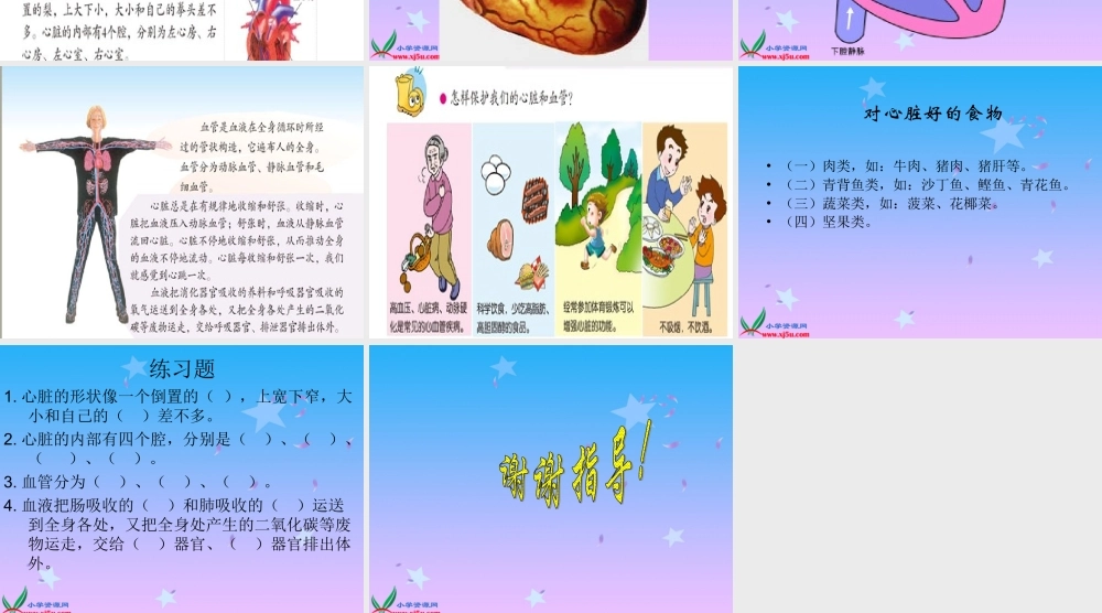 首师大小学科学四下《16.心脏的保健》PPT课件(1)【加微信公众号 jiaoxuewuyou 九折优惠qq 1119139686】.ppt