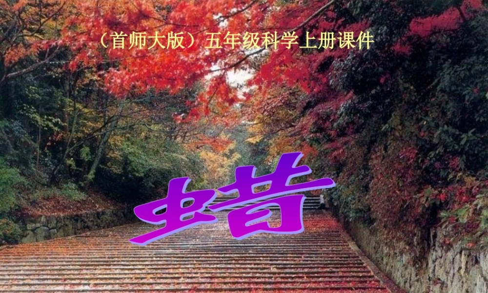 首师大小学科学五上《6.蜡》PPT课件(1)【加微信公众号 jiaoxuewuyou 九折优惠qq 1119139686】.ppt