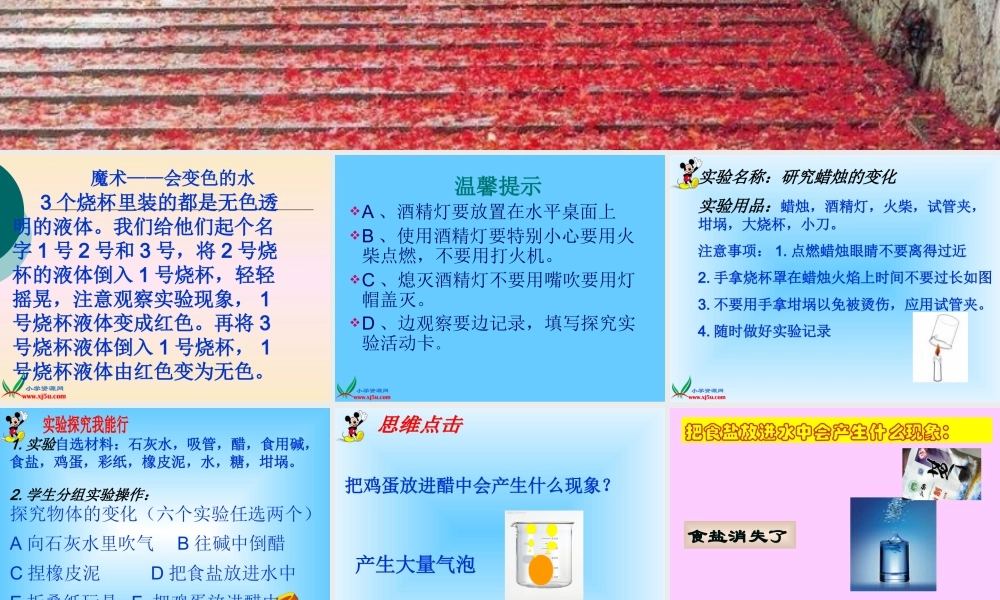 首师大小学科学五上《6.蜡》PPT课件(1)【加微信公众号 jiaoxuewuyou 九折优惠qq 1119139686】.ppt