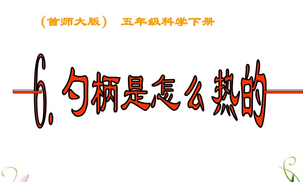 首师大小学科学五下《6.勺柄是怎么热的》PPT课件【加微信公众号 jiaoxuewuyou 九折优惠qq 1119139686】.ppt