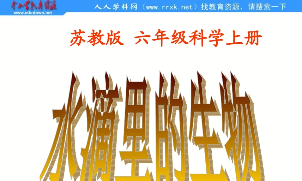 苏教小学科学六上《1.1．水滴里的生物》PPT课件(2)【加微信公众号 jiaoxuewuyou 九折优惠qq 1119139686】.ppt