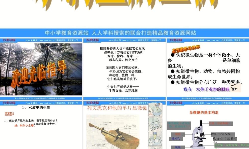 苏教小学科学六上《1.1．水滴里的生物》PPT课件(2)【加微信公众号 jiaoxuewuyou 九折优惠qq 1119139686】.ppt