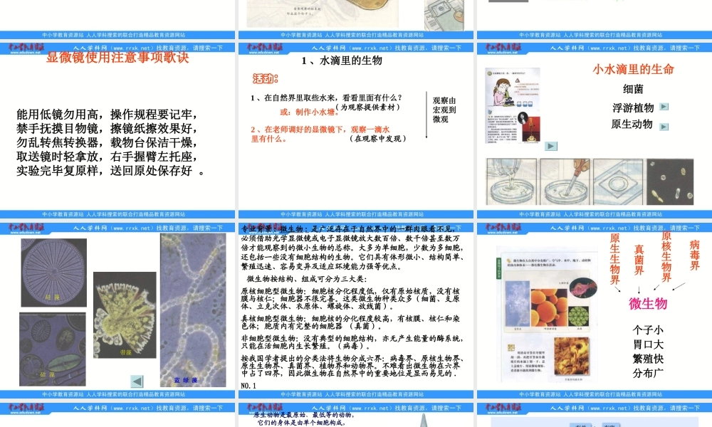 苏教小学科学六上《1.1．水滴里的生物》PPT课件(2)【加微信公众号 jiaoxuewuyou 九折优惠qq 1119139686】.ppt