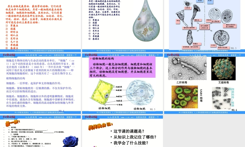 苏教小学科学六上《1.1．水滴里的生物》PPT课件(2)【加微信公众号 jiaoxuewuyou 九折优惠qq 1119139686】.ppt